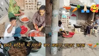 हमने सर्दियों में पहली बार बनाया गाजर फाक🫕 🥕🥕🫕#subscribe #trandingvlog #viral #minivlog #food #likes