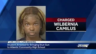 Student arrested for bringing stun gun to Atlantic Community High School 'for her protection'
