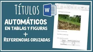 Ahorra TIEMPO usando TÍTULOS y REFERENCIAS cruzadas en Figuras y Tablas en WORD