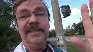 TheLoathlyDaddy Is Hit by a Car!