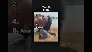 Best Fish 🐟 #ranking #fish #memes #funny #tiktok