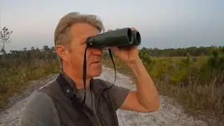 EARLY Morning Birding Adventure | Pumpkin Hill Creek State Park and Surrounding