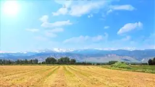 Green Screen Final