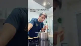 Cuando pongo mi playlist de Spotify en aleatorio