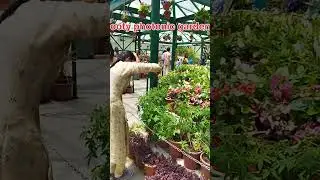 ooty | photonic garden beautiful place | mind relaxation place | #subscribe | @funtimepass