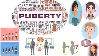 Puberty ||Characteristic and age at puberty||Puberty growth spurt|  Body changes at Puberty|| BA.HSC