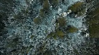 Winter Wood - Cinematic Drone Footage