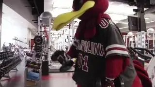 Cocky Work-Out Video
