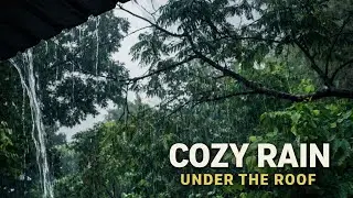 Relaxing Rain Under the Roof | Natural Rain Sounds (No Music)