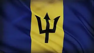 Barbados National Flag Waving Barbados Flag Background Video