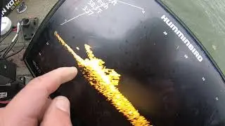 First Impressions of Humminbird Mega Live! (Crappie Fishing)