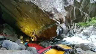 Magic Wood - Super Nova 7C