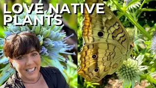 Florida Native Plants for a Wetland Butterfly Garden 🌿 (Zone 10a)