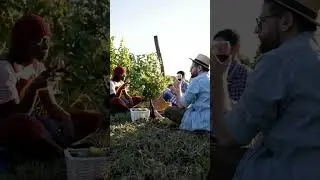 Fun facts about Israel