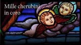 Mille cherubini in coro - Franz Schubert / arr.: Pe. J. L. Tallarico