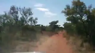Driving to camera traps in the Soutpansberg Mountains