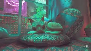 1 HOUR of Stray Sleeping Ambience | Clementine's Room