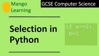 Selection in Python