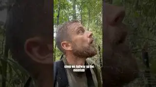 Climbing jungle covered mountain Guyana 🇬🇾 #mountainlovers #hiking #trekking #jungleexploration