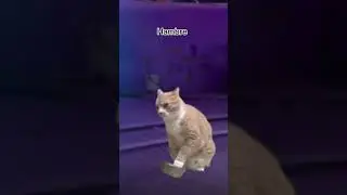Los Mejores Clips de Twitch, Los Momentos M&aacute;s Divertidos del Stream