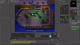 Tibia Raiz