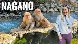 Magical Day with Nagano&rsquo;s Snow Monkeys (National Geographic-Like Experience in Japan)
