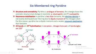 Pyridine and its EAS. Prof.dr. Ahmed El-morsy