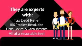Best IRS Tax Problem Resolution Accountant in Yulee Florida 32041