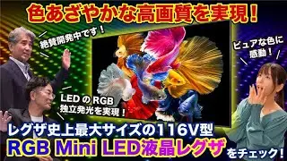 色あざやかな高画質を実現！　レグザ史上最大の116V型RGB Mini LED 液晶レグザをチェック！
