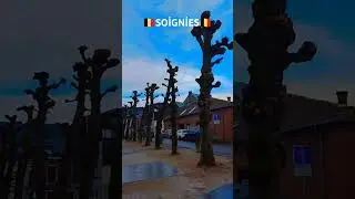 #soignies #travel #belgiumtravel #belgique #belgi&euml; #belgio belgien #bel&ccedil;ika waloniepourtoiviraltrend