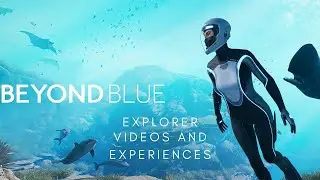 Beyond Blue | Ocean Videos and Experiences