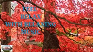 Peaceful Night Soothing, Deep Sleep Music |  Calming Sleeping Music | Healing Sleep Meditation,