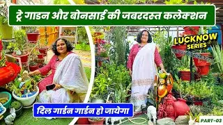 सोनल जी के गार्डन में है ट्रे गार्डन और बोन्साई की भरमार 🤩 🤩 दिल गार्डन गार्डन हो जायेगा 😍 😍