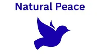 Calm Your Heart with ALLAH'S Dhikr | Water Sounds for Peace