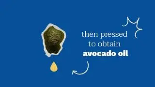 Avocado Perseose: Bahan Alami dengan Banyak Manfaat