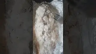Dorade au four