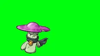 Night cap green screen 01