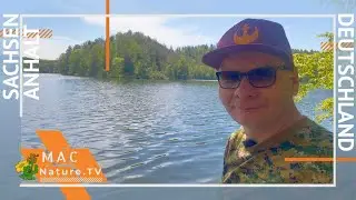 Wanderung von Königerode zur Wippertalsperre