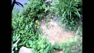 Durant Nature Park 2nd Video
