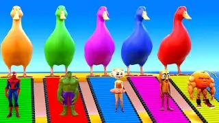 Playing as Spiderman in Long Slide Game with Cow Elephant Gorilla Hippo Tiger Funny 3d Animal Game