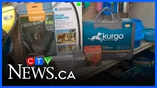 Amazing Pet essentials at Early's Farm & Garden Centre