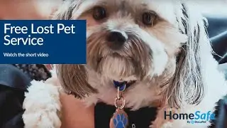 How DocuPet's Free HomeSafe&trade; Lost Pet Service Works