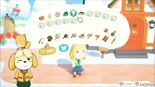 Aaron And MystFro In Animal Crossing New Horizons (Isabelle And Digby's Birthday Edition!) 🎂