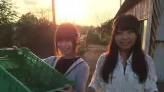 徳島新鮮野菜便＊阿波ツクヨミファーム
