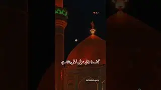 یا علی ع تیرے چاہنے والوں کی خیر 🥀❤️ #shia #fyp #viralvideos #viral #shiastatus
