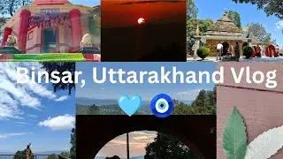 Binsar Travel Vlog 🩷🪄|Khali Estates| Kasar Devi Temple| Hidden Gems of Uttarakhand.