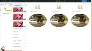 How to add testimonial element in Bootstrap 5 builder