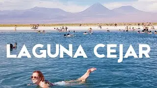 ATACAMA: Laguna Cejar N&Atilde;O AFUNDA! Conhe&ccedil;a o caminho saindo de San Pedro I VIAJE24H