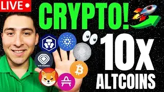 What Now For Crypto? HUGE VVS Finance, SHIBA INU NEWS (10x Altcoins)