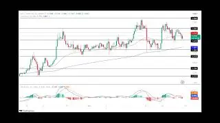 ApeCoin Price Prediction 2024, 2025, 2030: Will APE Price Surge This Year?